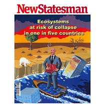 Ecosystems at risk of collapse in one in five countries. Ilustração tradicional projeto de Stéphane D - 21.11.2020