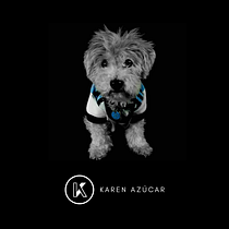Karen Azúcar_Fotografías_de_mascotas. Un projet de Photographie de vanegaskaren24 - 10.11.2020