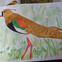 Mis dibujos con algunas técnicas de la acuarela . Watercolor Painting project by Gabriela Joo - 12.24.2020