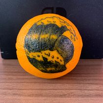 Mi Proyecto del curso: Mi primera Naranja :). Design project by Romario Lam - 11.20.2020