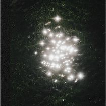 My Photo Book "Sympathy with small things when time stops". Projekt z dziedziny Fotografia art, st i czna użytkownika Viktoria Binges - 11.11.2020