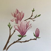 My project in Botanical Illustration with Watercolors course. Pintura em aquarela projeto de Ioana C. - 28.11.2020
