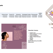 Mi Proyecto del curso: Introducción al SEM: aprende Google Ads desde cero Ein Projekt aus dem Bereich Digitales Marketing von Elba Trejo Romero - 17.11.2020