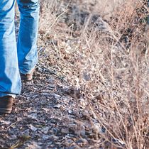 Unforgettable walks of my life. Stor, telling, Escrita, Criatividade, Narrativa, e Escrita criativa				 projeto de Pavan Kumble - 17.11.2020