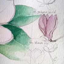 My project in Botanical Watercolor Sketchbook course. Projekt z dziedziny Trad, c i jna ilustracja użytkownika Anna Gueorguieva - 22.11.2020