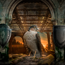 Mi Proyecto del curso: Secretos del fotomontaje y el retoque creativo. Collage, Digital Drawing, Graphic Design, Photomontage, and Digital Painting project by Leonel Flores Silva - 11.22.2020