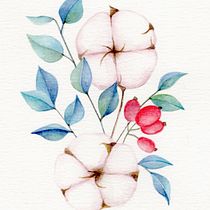 Curso Ilustración botánica con acuarela. Colección algodón. Ilustração botânica projeto de María José Rodríguez Gallego - 25.11.2020