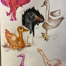 My project in Illustration Techniques to Unlock your Creativity course. Traditional illustration project by dani_ams - 11.25.2020