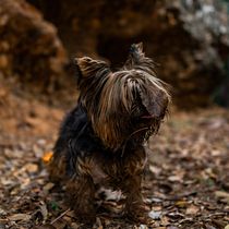 Mi Proyecto del curso: Guía práctica para aprender a manejar tu cámara digital desde cero. Un projet de Photographie, Photographie numérique, Photographie extérieure , et Photographie pour Instagram de Manuel Rébora - 26.11.2020