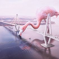 Mi Proyecto del curso: Fotomontaje surrealista con Photoshop  . % Ernesto Camacho tarafından hazırlanan Fotoğrafik Kompozis, Ve on projesi - 12.02.2020