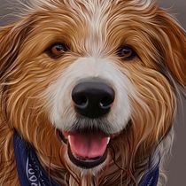 Mi Proyecto del curso: Ilustración naturalista de animales con Procreate. Un proyecto de Dibujo, Dibujo de Retrato, Dibujo realista, Ilustración tradicional e Ilustración digital de hola.sundiseno - 27.11.2020