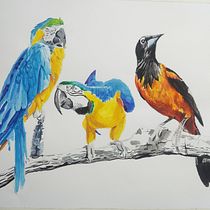 Meu projeto do curso: Técnicas experimentais de aquarela para principiantes . Fine Arts, Drawing, and Traditional illustration project by Romário Santos - 11.27.2020