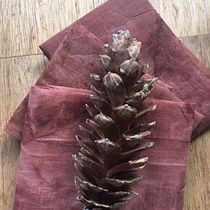 My project in Textile Dyeing with Natural Pigments course. Tingimento têxtil projeto de yamahacarol - 28.11.2020