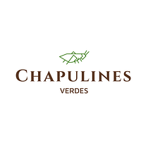 Mi Proyecto del curso: Diseño de logotipos: síntesis gráfica y minimalismo CHAPULINES VERDES. Design project by Brenda Roa Montilla - 11.30.2020