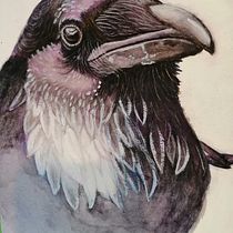 Mein Kursprojekt: Rabe mit Aquarell, Farbstiften & Gouache . Watercolor Painting, and Traditional illustration project by marisa_maag - 12.07.2020