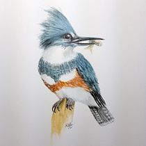 My project in Naturalist Bird Illustration with Watercolors course Ein Projekt aus dem Bereich Aquarellmalerei von Marilyn Allen - 04.12.2020