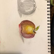 My project in Botanical Watercolor Sketchbook course. Projekt z dziedziny Malowanie akwarelą użytkownika Shina - 04.12.2020