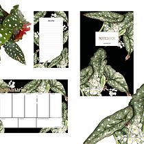 My project in Botanical Illustration with Watercolors course. Ilustração tradicional projeto de Lili Kovács - 04.12.2020