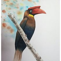 My project in Artistic Watercolor Techniques for Illustrating Birds course. 3D Animation project by Ternel Telesforo - 12.10.2020