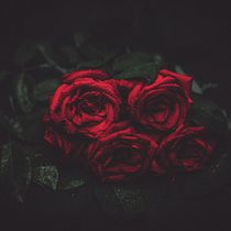 Fragancia a rosas. Un projet de Écriture de María del Carmen Torres Rico - 05.12.2020