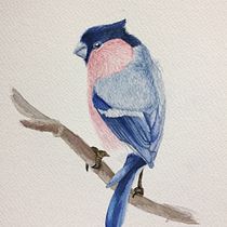 My project in Naturalist Bird Illustration with Watercolors course. Pintura em aquarela projeto de Yana B - 05.12.2020