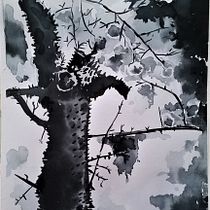 My project in Introduction to Illustration with India Ink course. Ilustração com tinta projeto de queer_ooloi - 05.12.2020