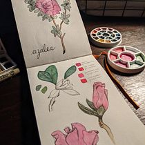My project in Botanical Watercolor Sketchbook course. Projekt z dziedziny Malowanie akwarelą użytkownika Pamela Metcalfe - 07.12.2020