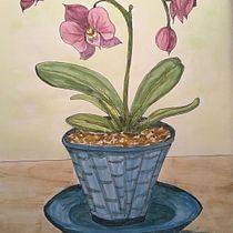 My project in The Art of Sketching: Transform Your Doodles into Art course Ein Projekt aus dem Bereich Traditionelle Illustration von Susan Glass - 15.01.2021