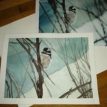 My project in Artistic Watercolor Techniques for Illustrating Birds course. Watercolor Painting project by ziva_kreativa - 12.08.2020
