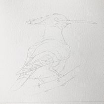 My project in Artistic Watercolor Techniques for Illustrating Birds course. Traditional illustration project by Alan Skyrme - 12.09.2020