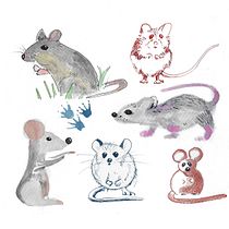 My project in Illustration Techniques to Unlock your Creativity course. Traditional illustration project by Ivonne Wierink - 12.09.2020