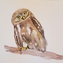My project in Artistic Watercolor Techniques for Illustrating Birds course. Watercolor Painting project by kdrobertson - 12.10.2020