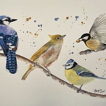 My project in Artistic Watercolor Techniques for Illustrating Birds course. Watercolor Painting project by Amy Lagers - 12.10.2020
