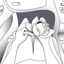 Magnolia. Comic, and Digital Illustration project by Indeg May Cameron - 12.12.2020