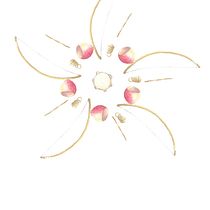 My project - A flower of berimbaus. Watercolor Painting project by Sara - 12.13.2020