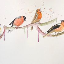 Robin's Concert. Traditional illustration, Watercolor Painting, Realistic Drawing, and Naturalistic Illustration project by Elisa Bresciani - 12.14.2020