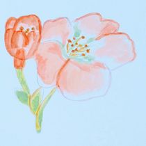 Proyecto de Rossy de Ilustración botánica con acuarela. Ilustração tradicional projeto de Rossy Merino - 18.12.2020