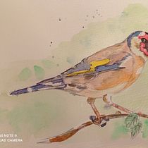 Mi Proyecto del curso: Acuarela artística para ilustración de aves. Projekt z dziedziny  Sztuki piękne użytkownika Susana Pérez Fornell - 17.12.2020