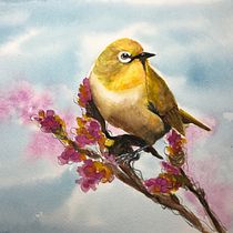 My project in Artistic Watercolor Techniques for Illustrating Birds course. Projekt z dziedziny Malowanie akwarelą użytkownika Joane Eby - 18.12.2020