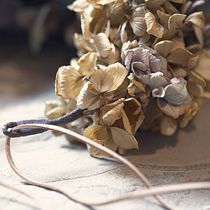 Mi Proyecto del curso: Tocado floral: crea tu complemento de flores. DIY project by Tatiana Oller Ramirez - 12.21.2020