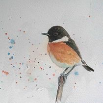 My project in Artistic Watercolor Techniques for Illustrating Birds course number 2. Projekt z dziedziny Malowanie akwarelą użytkownika Ruud van Unen - 04.01.2021