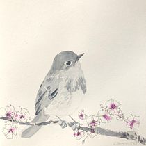 My project in Artistic Watercolor Techniques for Illustrating Birds course. Projekt z dziedziny Trad, c, jna ilustracja,  Malarstwo i Malowanie akwarelą użytkownika cm_stoneman - 19.12.2020
