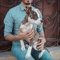 Mi Proyecto del curso: Fotografía lifestyle de perros. Un projet de Photographie, Photographie lifest , et le de Daniel Pazarán - 21.12.2020