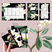 My project in Botanical Illustration with Watercolors course. Pintura em aquarela projeto de Quiel Beekman - 21.12.2020