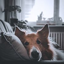 Rocket enamorao'. Un projet de Photographie numérique , et Photographie pour Instagram de catakeas - 21.12.2020