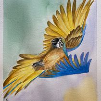 Meu projeto do curso: Técnicas expressivas de aquarela para ilustração de pássaros. Fine Arts project by Lais Porto - 12.26.2020
