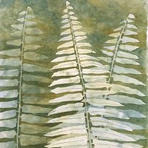 My project in Negative Watercolor Painting for Botanical Illustration course Ein Projekt aus dem Bereich Bildende Künste, Traditionelle Illustration und Aquarellmalerei von armaundrell - 23.12.2020