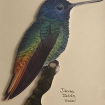Mi Proyecto del curso: Ilustración naturalista de aves con acuarela. Pintura em aquarela projeto de denise_zeldis - 23.12.2020