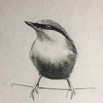 My project in Artistic Watercolor Techniques for Illustrating Birds course. Projekt z dziedziny Wzornictwo przem i słowe użytkownika Veronique Simard - 24.12.2020