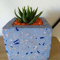 Maceta con terrazo y planta aloe aristata. Een project van  Ontwerp van Hector Zeballos - 27.12.2020